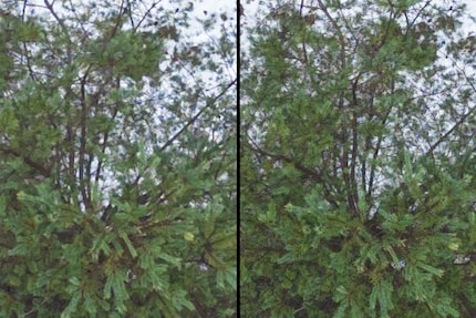 Bei starker Vergrösserung zeigt sich die bessere Auflösung des 48-Megapixel-Modus der Mini 3 Pro (rechts). Viermal besser ist er allerdings bei weitem nicht.