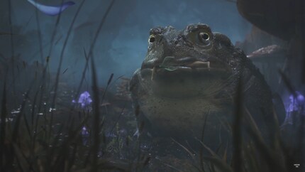 Image : Playground Games