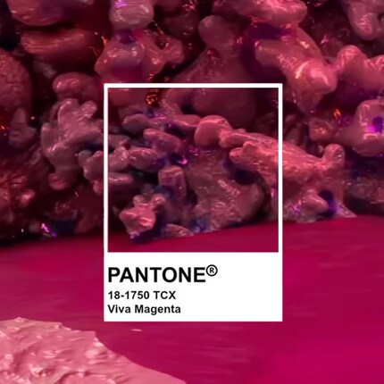 Image : Instagram @pantone