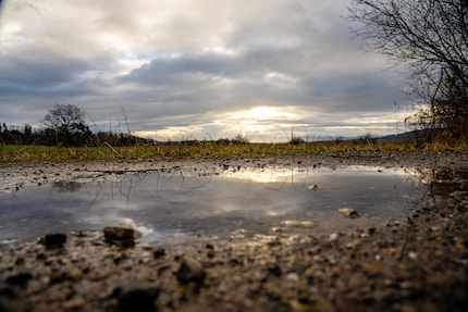 Bildausschnitt mit 20 mm.