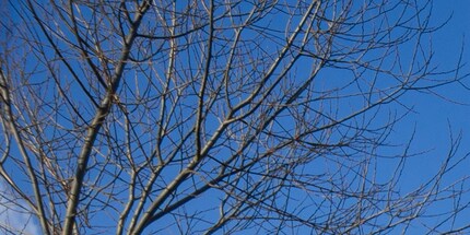 Vergrösserung der Ecke.