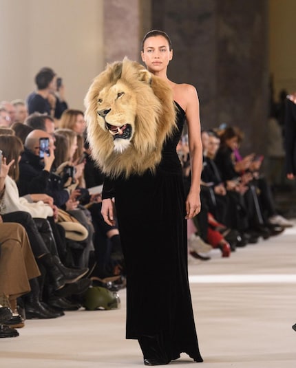 Model Irina Shayk with the aforementioned lion.