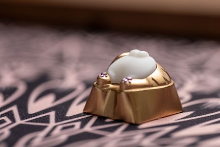 Die Hoden ragen beim Zomoplus Katzenpo heraus.