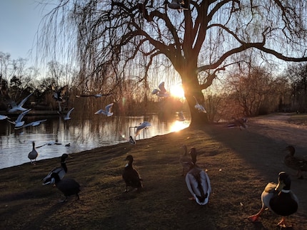As the sun slowly sets, I take another little detour down to the water and even get to enjoy some more rays of sunshine.