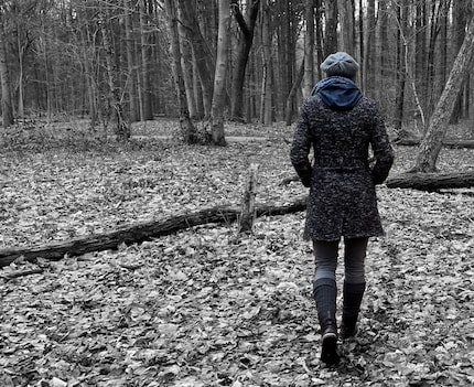 Even in bad weather, I’ve never regretted getting up to go for a walk.