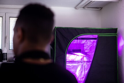 Ici, les baskets jaunies redeviennent blanches.