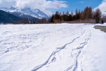 Photo: Oliver Fischer