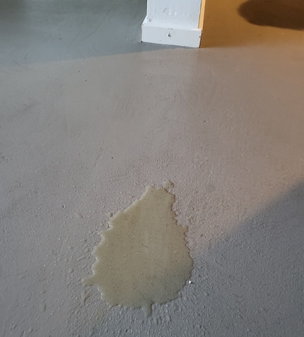 Nei momenti di bisogno, posso contare su mio figlio. Come richiesto, ha urinato nel soggiorno.