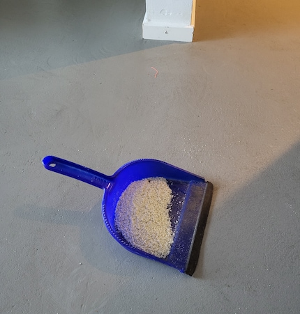 Raccoglilo con una scopa e una paletta e sbarazzatene.