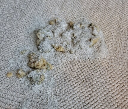 La polvere lega bene il liquido sul tappeto.