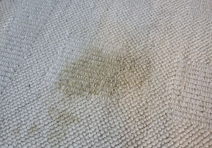 Il vomito artificiale è sparito, ma al suo posto c'è una macchia giallastra.