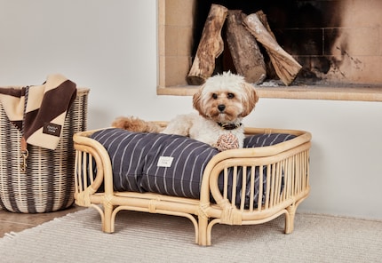 La cuccia in rattan «Otto» del marchio danese Oyoy è completata dal cuscino «Kyoto».