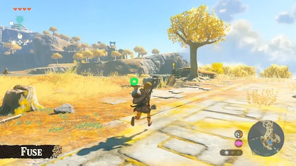 A mushroom on the shield looks funny, but is quite practical.