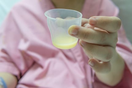 Le colostrum est plus jaunâtre que le lait maternel ultérieur, et est riche en protéines et en vitamines.