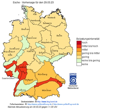 The DWD publishes daily pollen count data on various hay fever triggers.
