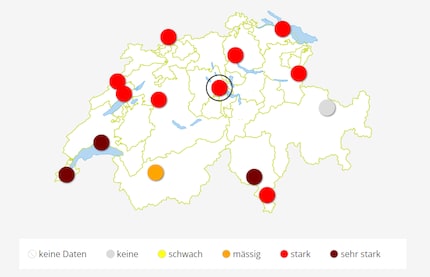 Unter www.pollenundallergie.ch findest du aktuelle Angaben zu Pollen verschiedener Allergieauslöser.