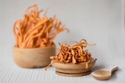 I Cordyceps sono utilizzati nella medicina cinese da oltre 1500 anni.