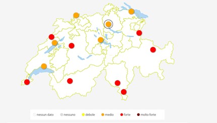 Visita il sito www.pollenundallergie.ch per avere informazioni aggiornate sulle concentrazioni polliniche.