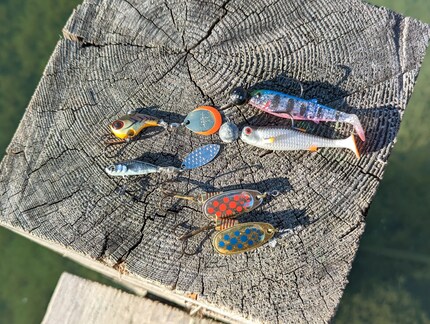 Buone esche per iniziare: Jig-Spinner a sinistra, un pesce di gomma in alto a destra e Spinner in basso a destra.