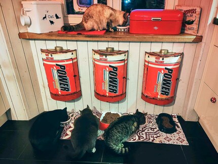 Feeding time for the Vogt family carnivores.