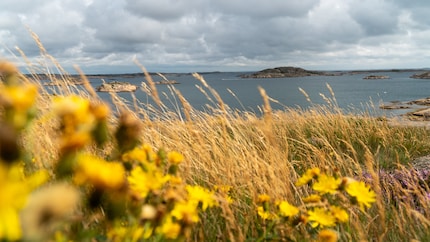 The archipelago coasts in Sweden's west (or east) offer wild tranquillity.