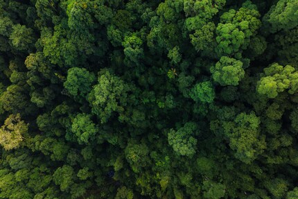 Una foto dalla fotocamera principale del Mavic 3 Pro.