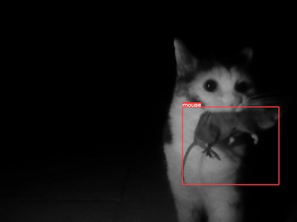 Non puoi entrare qui! 