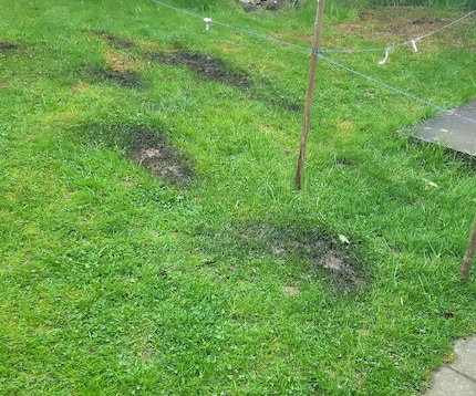 Ancora una volta si è fatta terra bruciata.