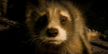 L'émotion est toujours au rendez-vous lorsque l'histoire de Rocket est au centre de l'action