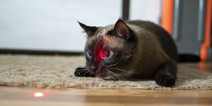 Aufgepasst: Auch die Reflektion des Lasers kann ins Auge gehen.