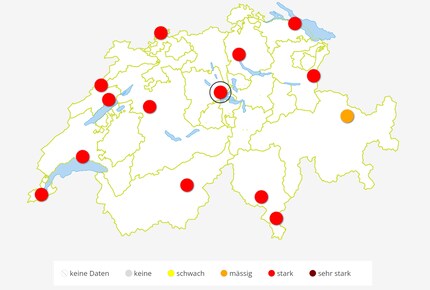 The prospect of Whitsun pollen: hay fever season is at its peak – the grass pollen count in particular is high at the moment.