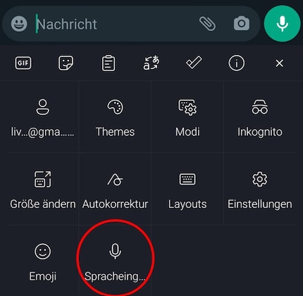 Circled in red for your convenience: here’s how you can use the dictation function. Thank you!