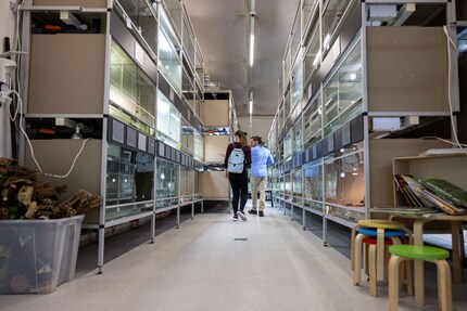 Simone Piovan me guide à travers le royaume de 2500 animaux tropicaux et 150 espèces au total.