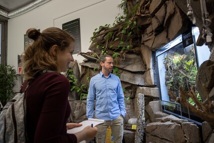 L’entreprise fabrique également des terrariums.