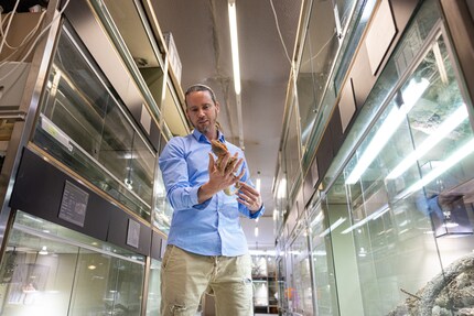 Weil Simone Piovan sich ruhig verhält, tut das auch die Bartagame auf seiner Hand.