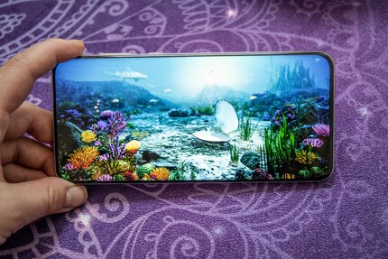 Colour reproduction produces good contrasts and true black.