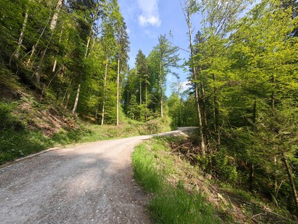 The wide-angle lens strongly distorts the subject.