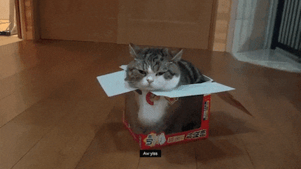 If it fits, I sits: Keine Box ist zu klein, um sie passend zu machen.