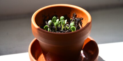 Salvia, la mia primogenita, mi riempie di orgoglio.