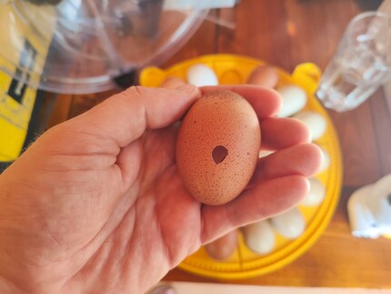 Les dégâts étaient évidents.