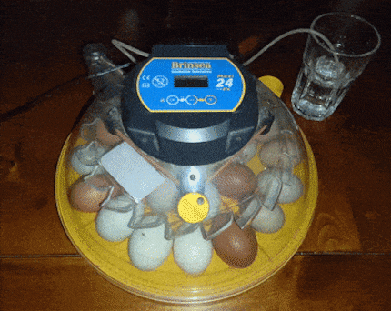 Erreur de la chanson : «Turn around, every now and then ...»