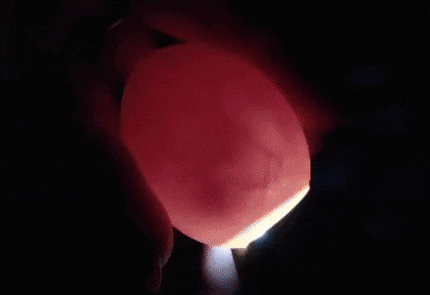 Non, ce n'est pas un extrait de film d'horreur de science-fiction!