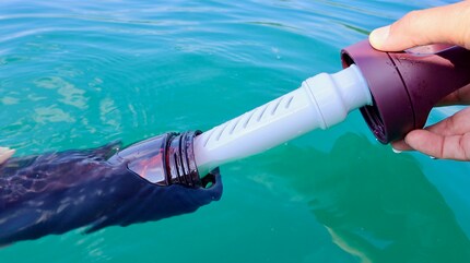 Het volledige potentieel benutten: het filter verandert meerwater in drinkwater