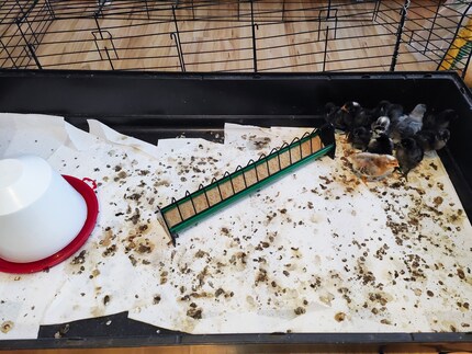 «Das sieht aus wie hingekackt und hingeschissen!»