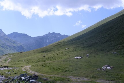 The view from the terrace.