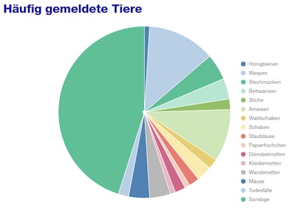 So sieht die Verteilung der gemeldeten Tiere bei der Schädlingsprävention der Stadt Zürich von 2020 bis 2022 aus. Zu «Sonstige» gehören harmlose Irrgäste aus dem Freien. Bei den Schädlingen stehen Wespen auf Platz 1 und Ameisen auf Platz 2.