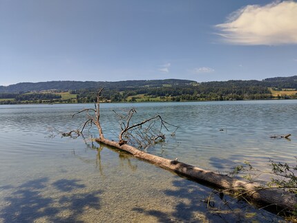 Nokia G42: Aufnahme mit Automatik wirkt etwas blass – und ist leicht zu gelblich.