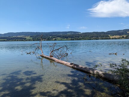 Google Pixel 7 Pro: Das Vergleichsfoto ist viel näher an der Realität.
