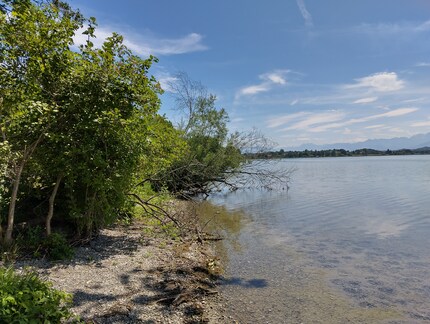 Nokia G42: Die Sträucher links liegen im Schatten, werden aber stark aufgehellt.