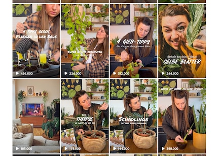 In her reels, Marie Nova gives tips on the topic.